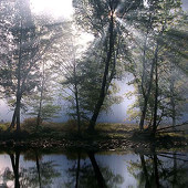 Концерт группы Звери фото 171