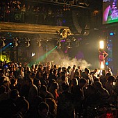 DJ Stylezz фото 34