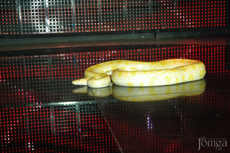 Фотография с FUNNY CIRCUS в Батыр