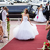 Парад невест 2012 фото 23