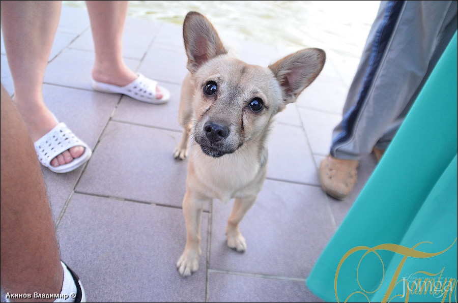 Фотография с ЭКВАТОР ЛЕТА в Батыр