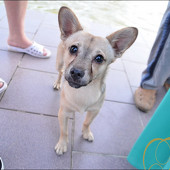 ЭКВАТОР ЛЕТА фото 117