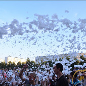 ЭКВАТОР ЛЕТА фото 75