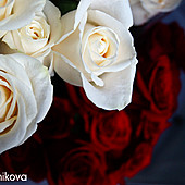 DJ ПИОНЕР г. КАЗАНЬ фото 111