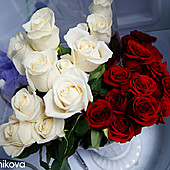 DJ ПИОНЕР г. КАЗАНЬ фото 110