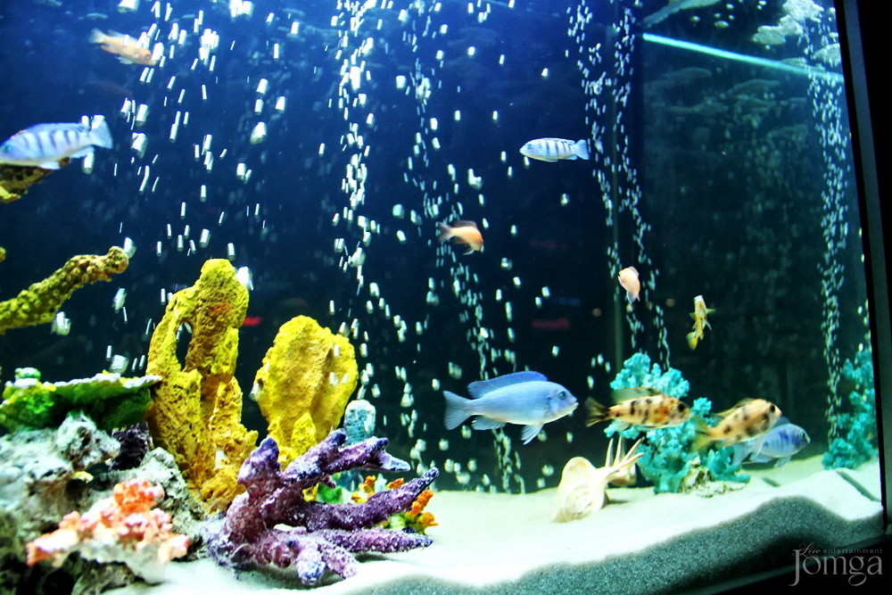 Фотография с BubbleBall в Пятерочка