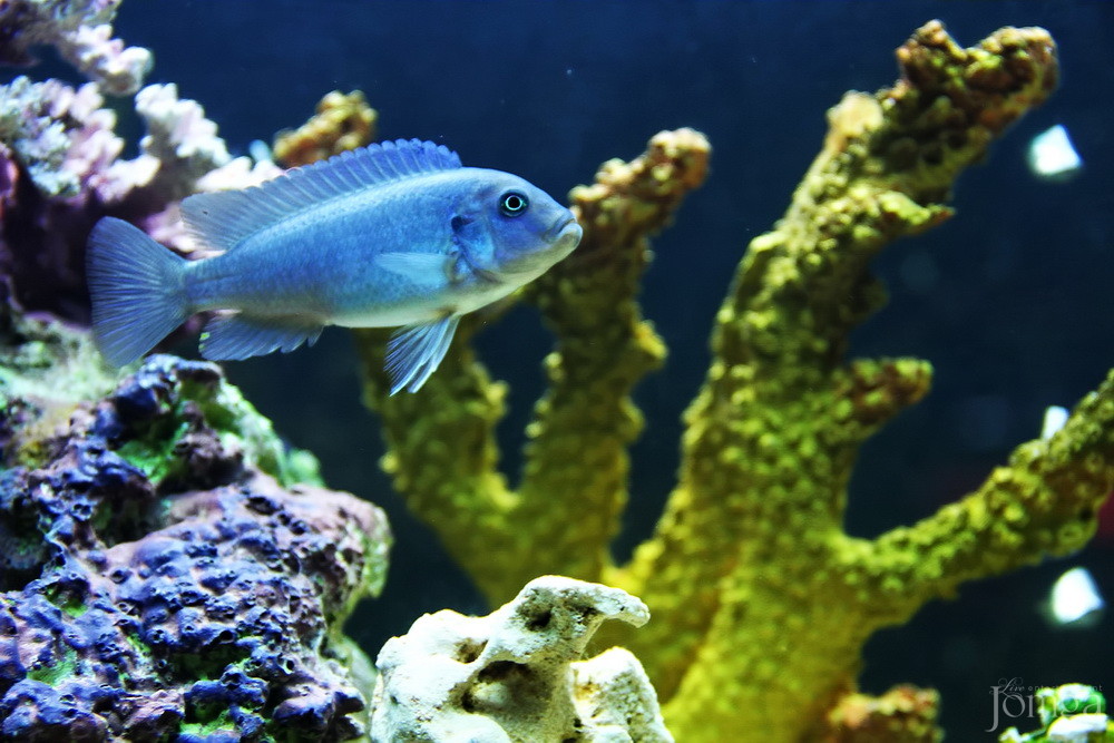 Фотография с BubbleBall в Пятерочка