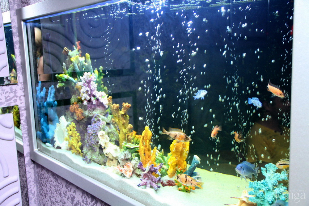 Фотография с BubbleBall в Пятерочка