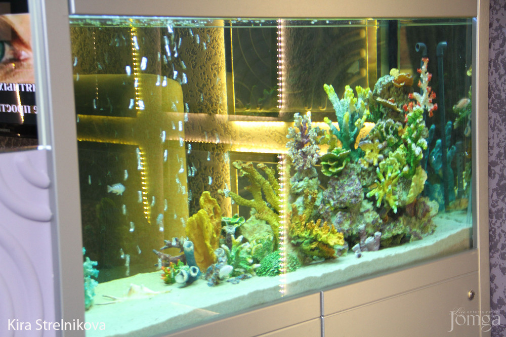 Фотография с Дискотека 80-90-2000-хх! в Пятерочка