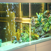 Дискотека 80-90-2000-хх! фото 31