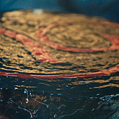 Технофестиваль "WE LOVE TECHNO", PART 3 фото 58