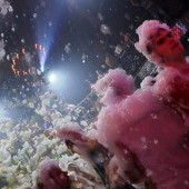 Мыльная опера фото 80