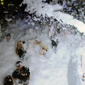 Мыльная опера фото 83