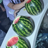 Ночь больших арбузов фото 80