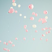 День Невест 2013 фото 102